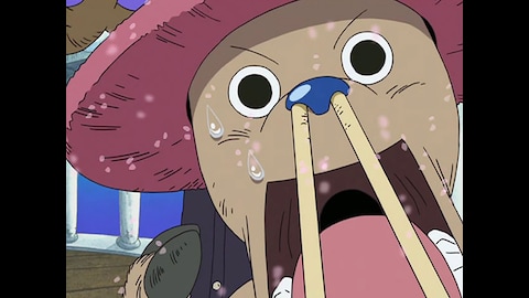 ワンピース チョッパー登場 冬島編 バンダイチャンネル 初回おためし無料のアニメ配信サービス