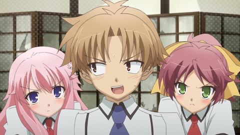 バカとテストと召喚獣にっ バンダイチャンネル 初回おためし無料のアニメ配信サービス