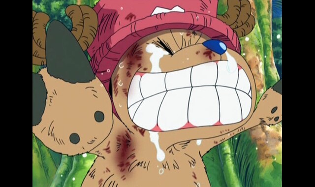 ワンピース 空島 スカイピア編 第162話 バンダイチャンネル 初回おためし無料のアニメ配信サービス