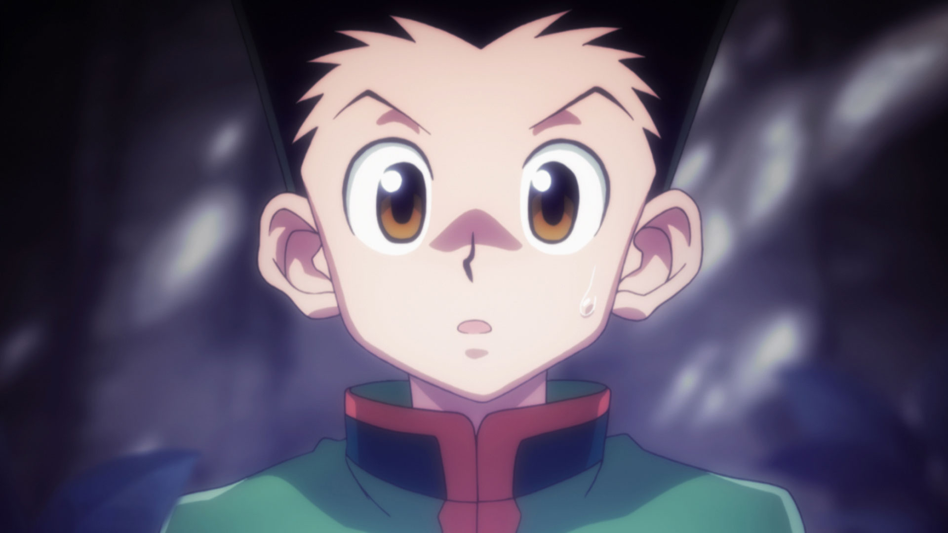 HUNTER×HUNTER 第14話| バンダイチャンネル｜初回おためし無料のアニメ