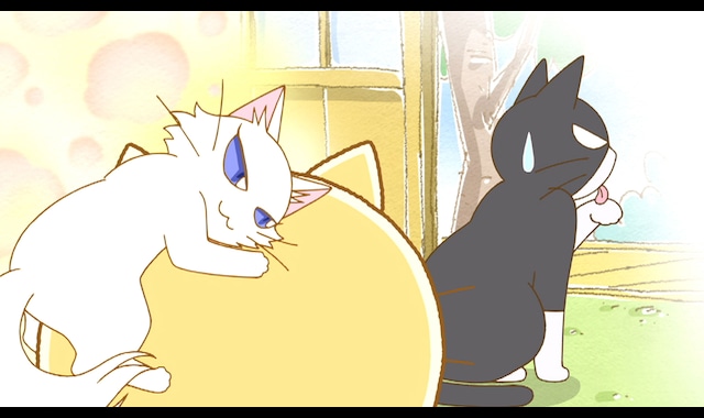 ポヨポヨ観察日記 48 バンダイチャンネル 初回おためし無料のアニメ配信サービス ポヨポヨ観察日記 48 バンダイチャンネル 初回おためし無料のアニメ配信サービス