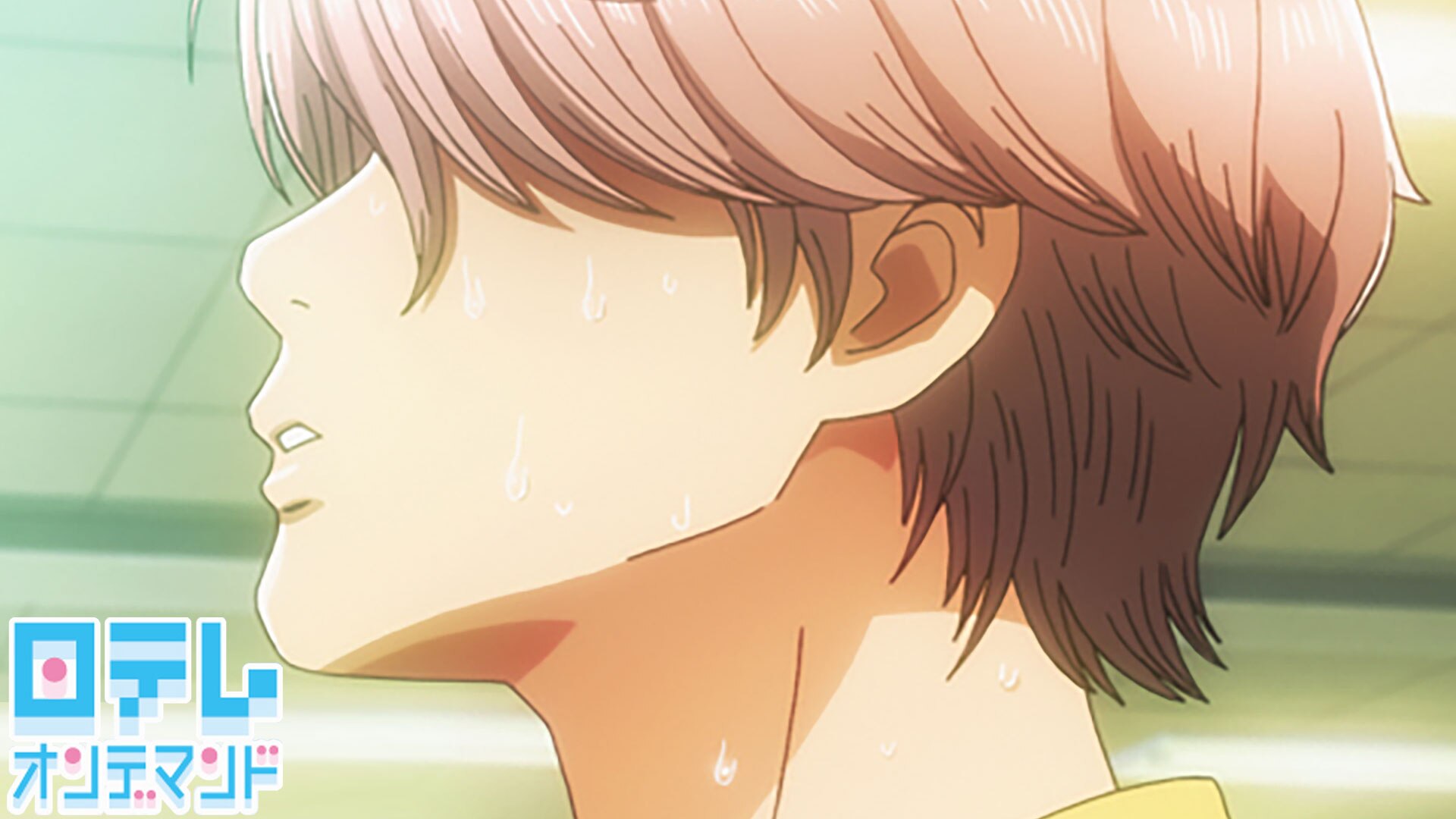 Chihayafuru Season 2 Blu-Ray(ちはやふる2 第2期 全25話) z2zed1b Amazon.co.jp: TVアニメ『ちはやふる2』 Blu-ray BOX【期間限定