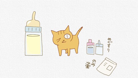 くるねこ バンダイチャンネル 初回おためし無料のアニメ配信サービス