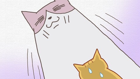 くるねこ バンダイチャンネル 初回おためし無料のアニメ配信サービス