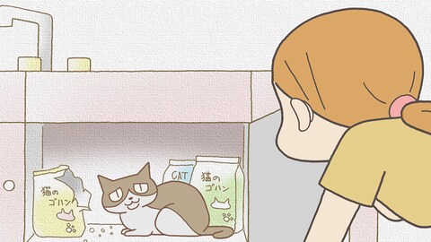 くるねこ バンダイチャンネル 初回おためし無料のアニメ配信サービス