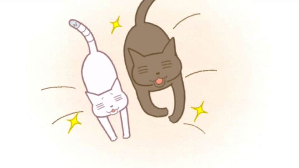 くるねこ 50 バンダイチャンネル 初回おためし無料のアニメ配信サービス くるねこ 50 バンダイチャンネル 初回おためし無料のアニメ配信サービス