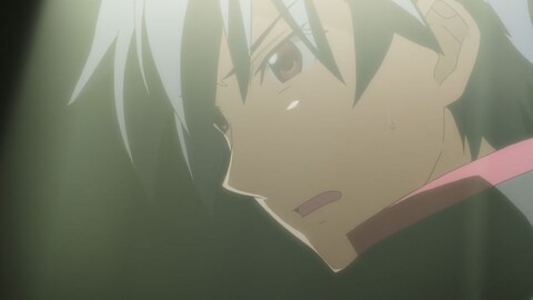 Is インフィニット ストラトス 2 バンダイチャンネル 初回おためし無料のアニメ配信サービス