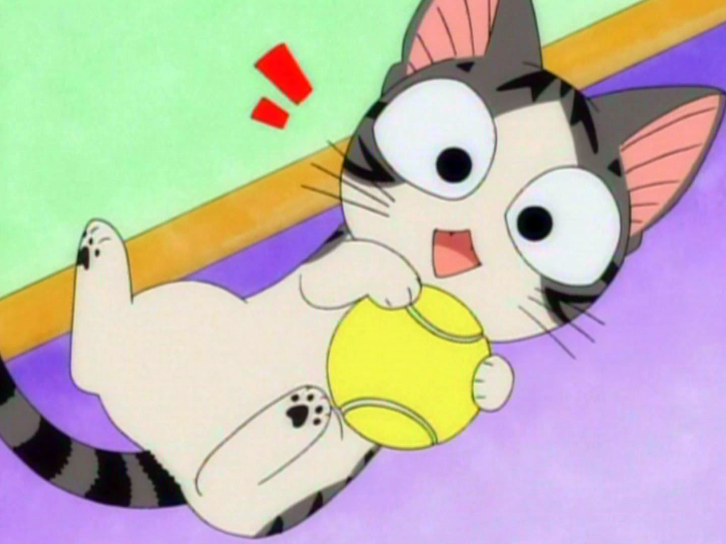 DVD 【※※※】[全8巻セット]チーズスイートホーム あたらしいおうち home