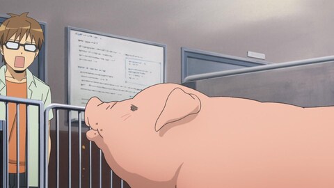 銀の匙 Silver Spoon 第1期 バンダイチャンネル 初回おためし無料のアニメ配信サービス