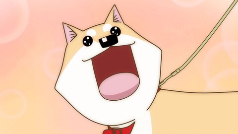 テレビアニメいとしのムーコ 第話 バンダイチャンネル 初回おためし無料のアニメ配信サービス