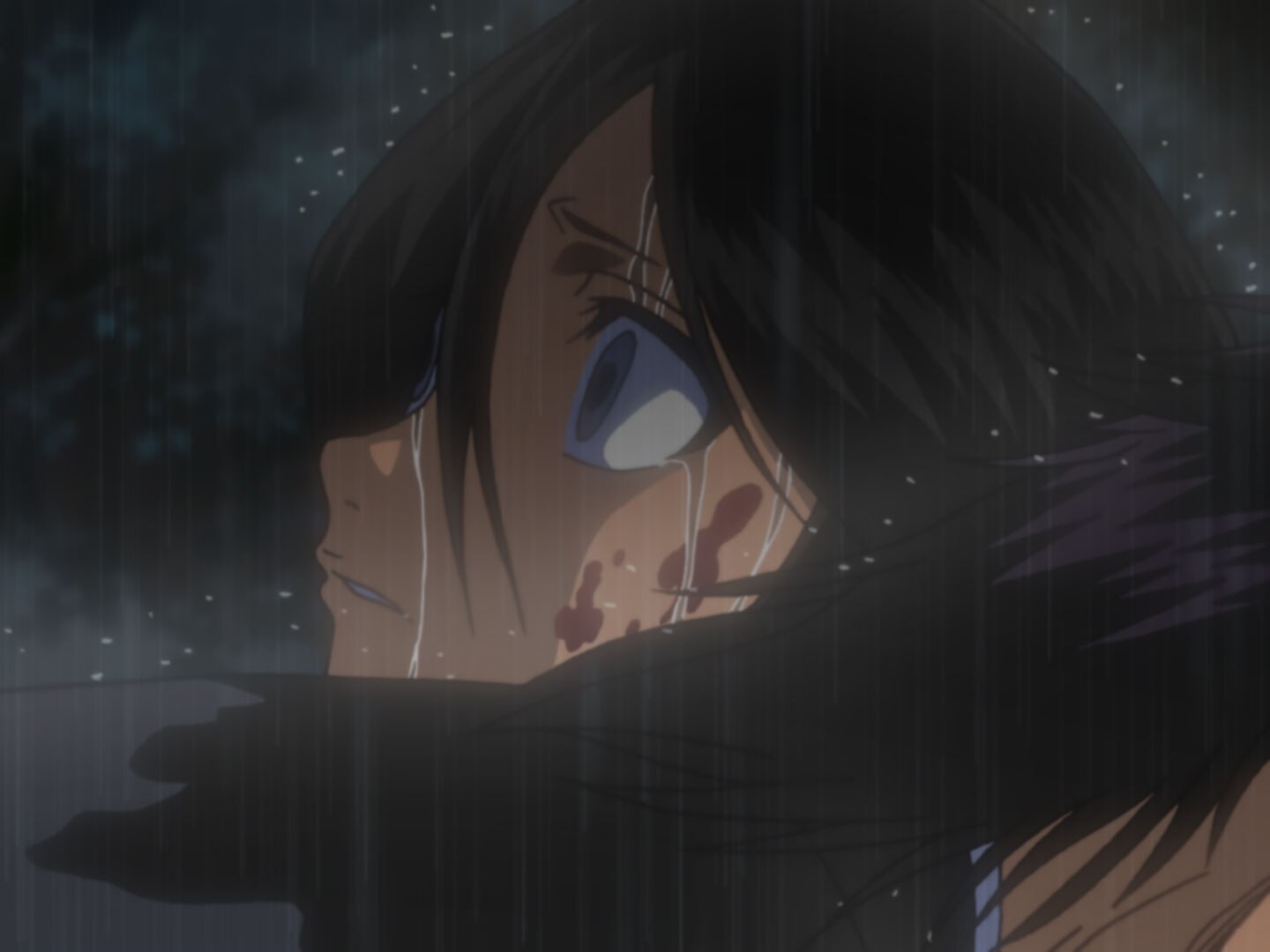 BLEACH 尸魂界篇 第49話| バンダイチャンネル｜最新作から不朽の名作