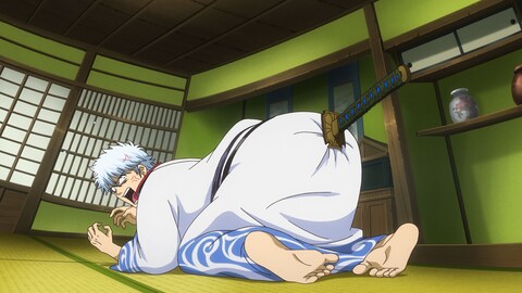 銀魂 第341話 バンダイチャンネル 初回おためし無料のアニメ配信サービス