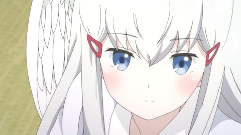 セントールの悩み 第1話 バンダイチャンネル 初回おためし無料のアニメ配信サービス セントールの悩み 第1話 バンダイチャンネル 初回おためし無料のアニメ配信サービス
