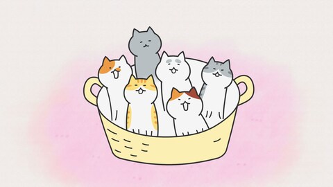 まめねこ | バンダイチャンネル｜最新作から不朽の名作までアニメ まめねこ様 写真