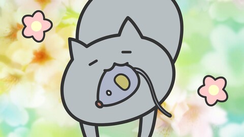 まめねこ 1さやめ バンダイチャンネル 初回おためし無料のアニメ配信サービス