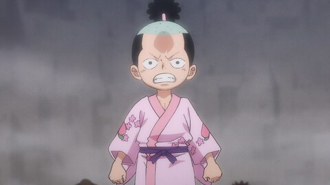 ワンピース ワノ国編 第906話 バンダイチャンネル 初回おためし無料のアニメ配信サービス