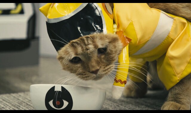 ネコ戦隊びたたま 第4話 バンダイチャンネル 初回おためし無料のアニメ配信サービス