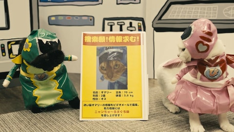 ネコ戦隊びたたま バンダイチャンネル 初回おためし無料のアニメ配信サービス ネコ戦隊びたたま バンダイチャンネル 初回おためし無料のアニメ配信サービス