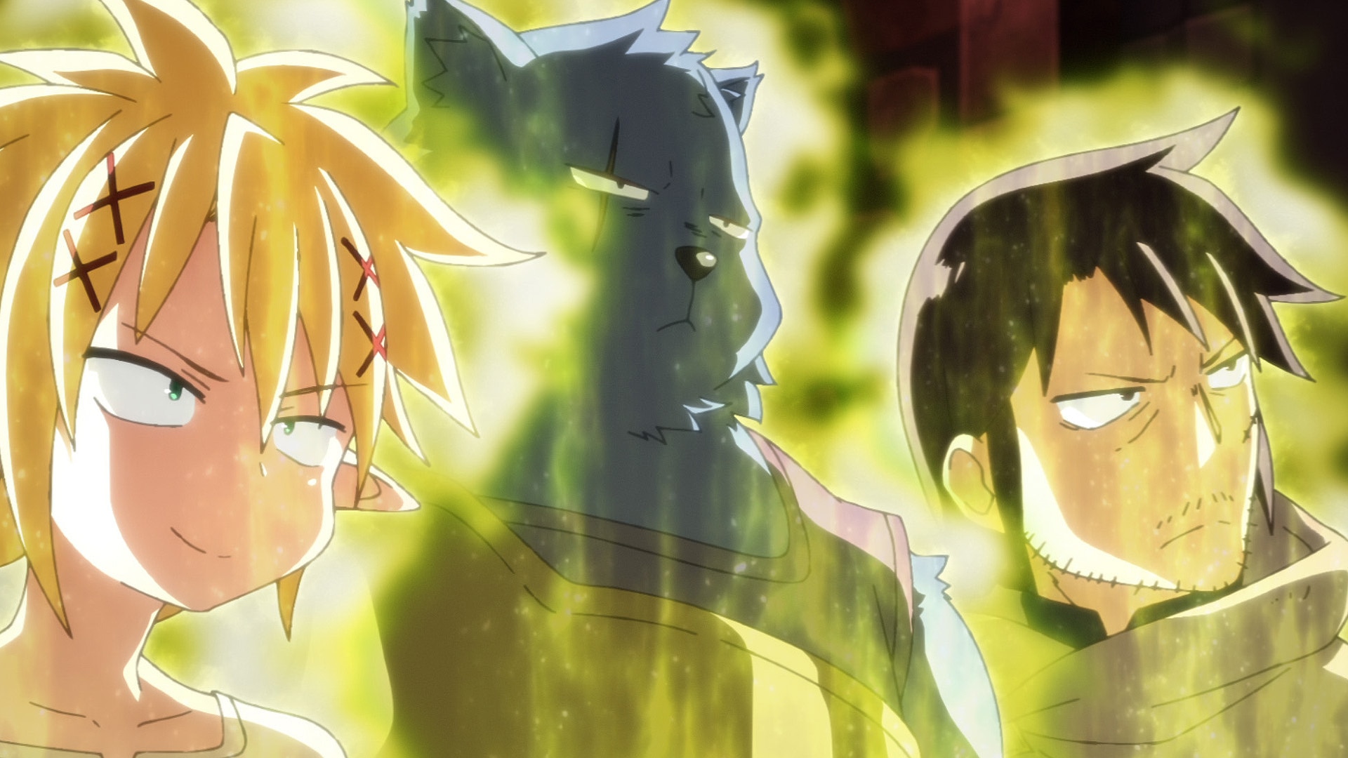 アニメ　DVD　異種族レビュアーズ　全6巻セット 異種族レビュアーズ 1 《通常版》 : 異種族レビュアーズ