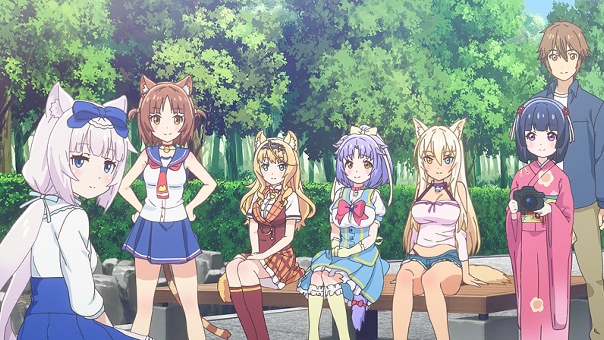 ネコぱら 第6話| バンダイチャンネル｜最新作から不朽の名作まで