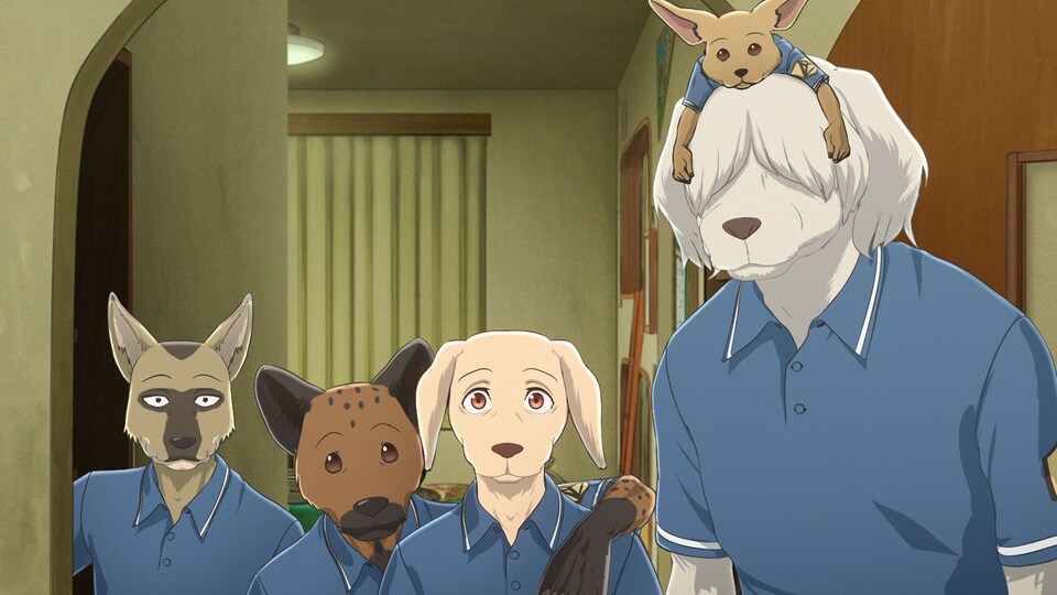 Beastars Fod 11 バンダイチャンネル 初回おためし無料のアニメ配信サービス