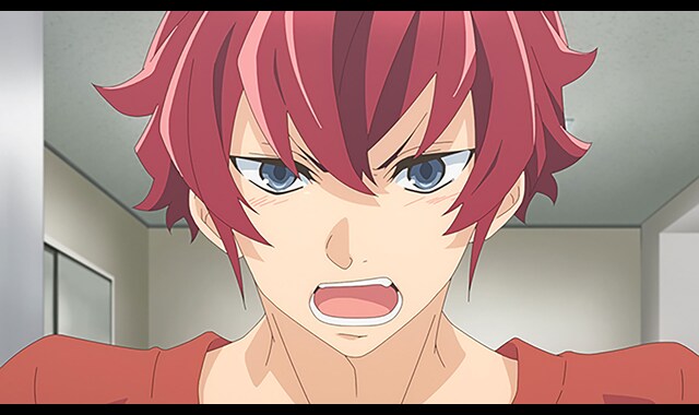 スケートリーディング スターズ バンダイチャンネル 初回おためし無料のアニメ配信サービス