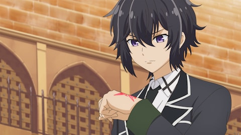 ランキング 再生回数 バンダイチャンネル 初回おためし無料のアニメ配信サービス