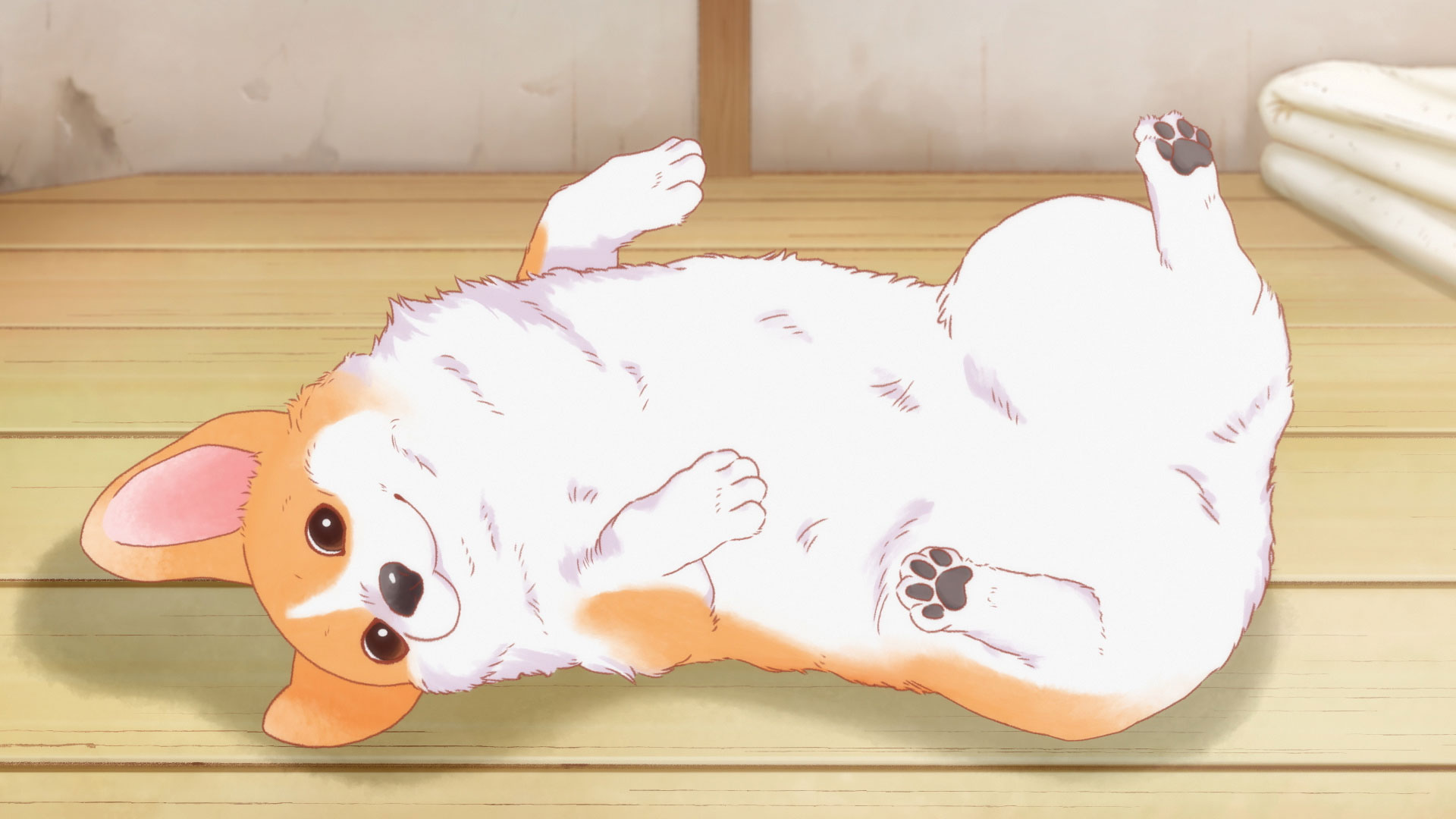 殿と犬