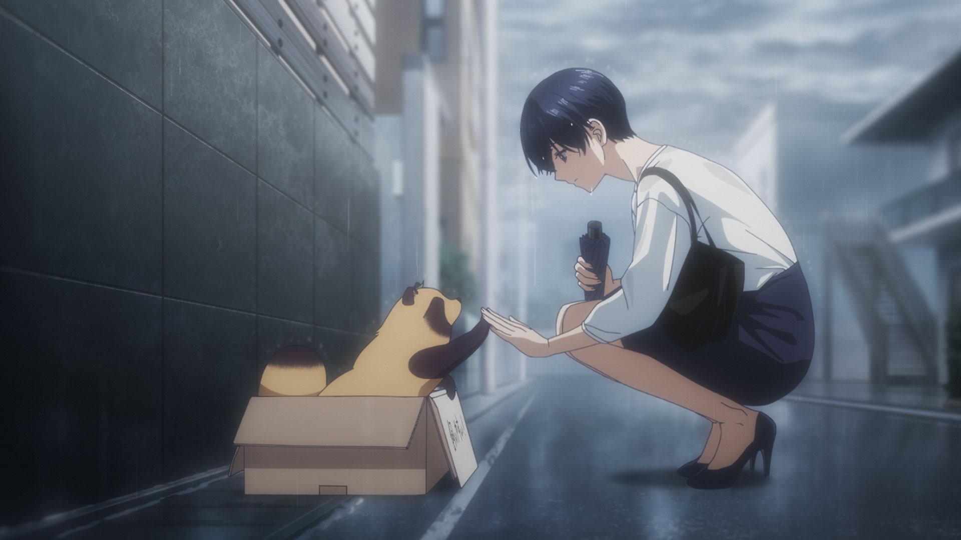雨と君と