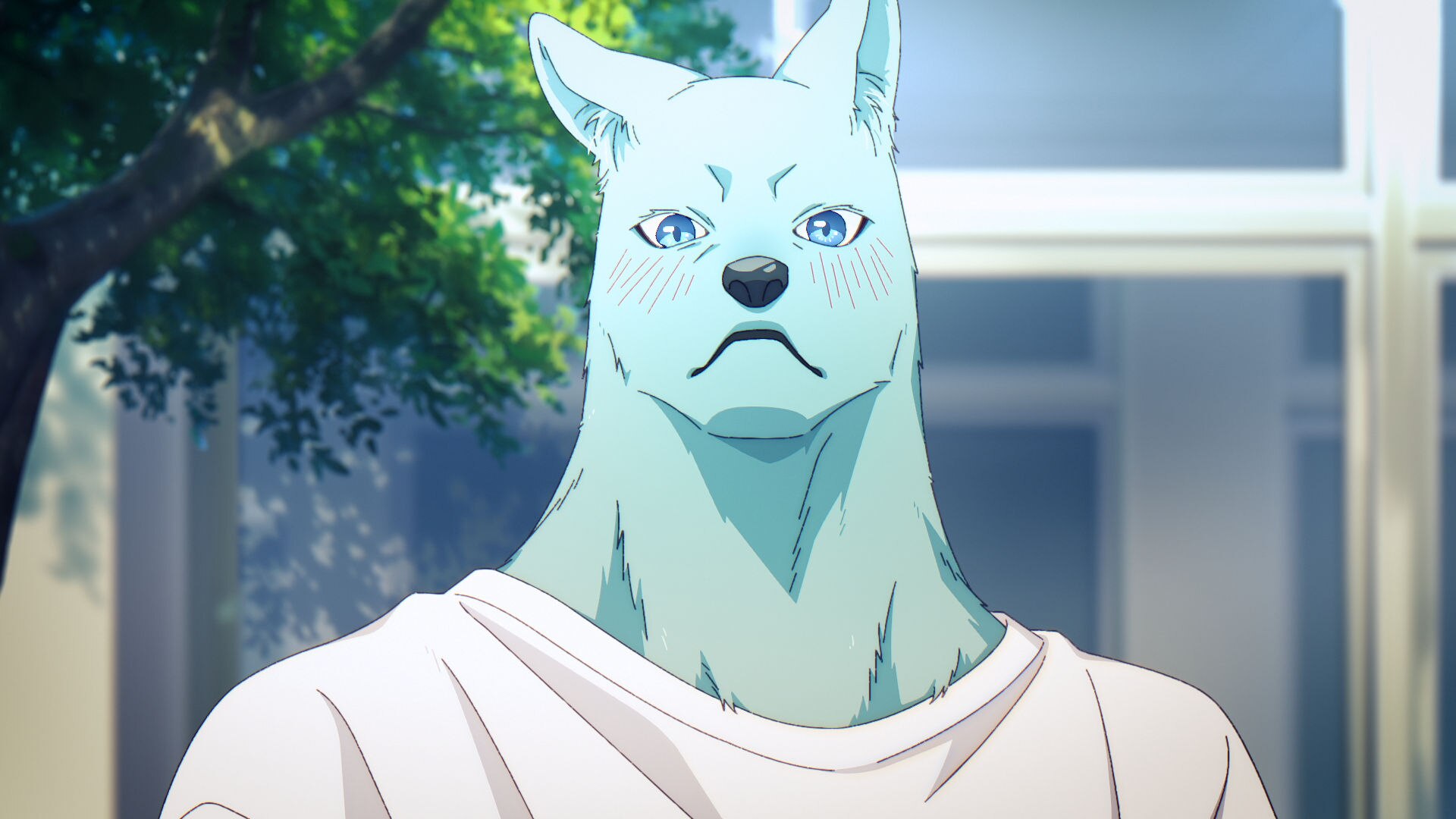 キミと越えて恋になる episode12| バンダイチャンネル｜最新作から不朽